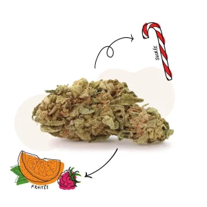 1001 herbes Lyon fleurs de cbd