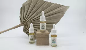 1001 herbes Lyon huiles de cbd