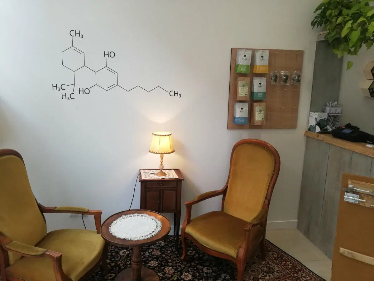 Feel Natural CBD Lyon salon