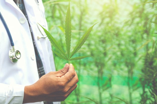 CBD anti douleurs