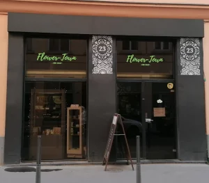 Flower Town CBD Lyon 4