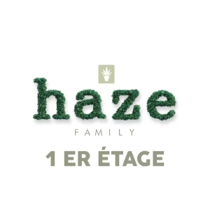 LOGO 1 ETAGE haze family