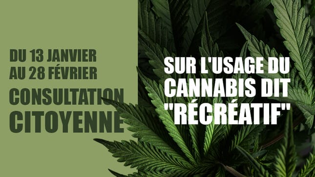 cannabis recreatif consultation citoyenne