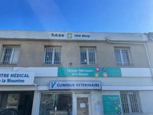 haze family villeurbanne