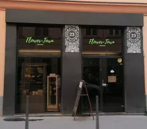 Flower Town CBD Lyon 4
