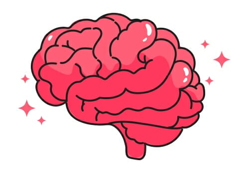 cbd et neurogenese