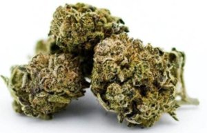 fleur de CBD