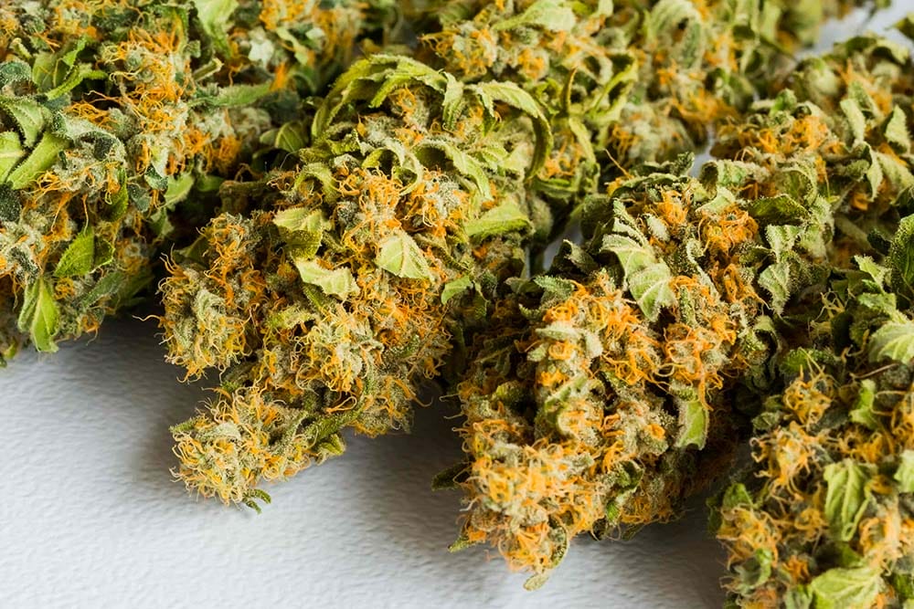 fleurs de CBD