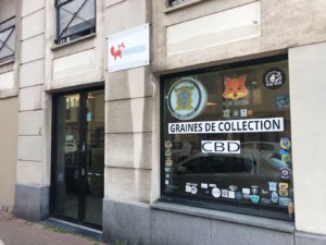 Boutique CBD Fox Seeds Lille