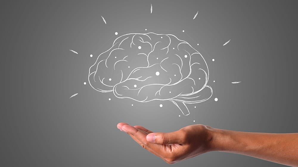 cerveau epilepsie