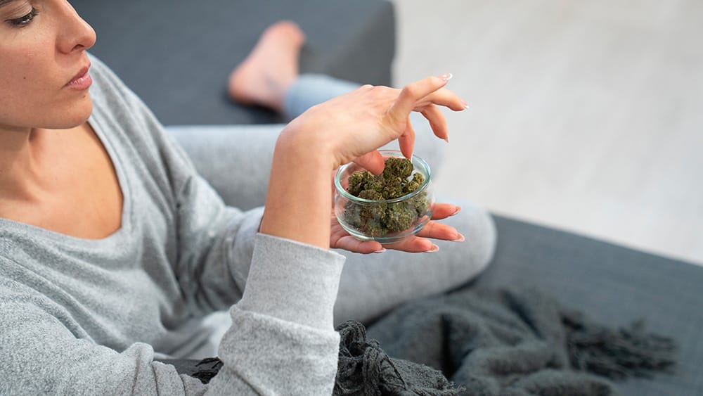 consommation-fleurs-de-cbd-1