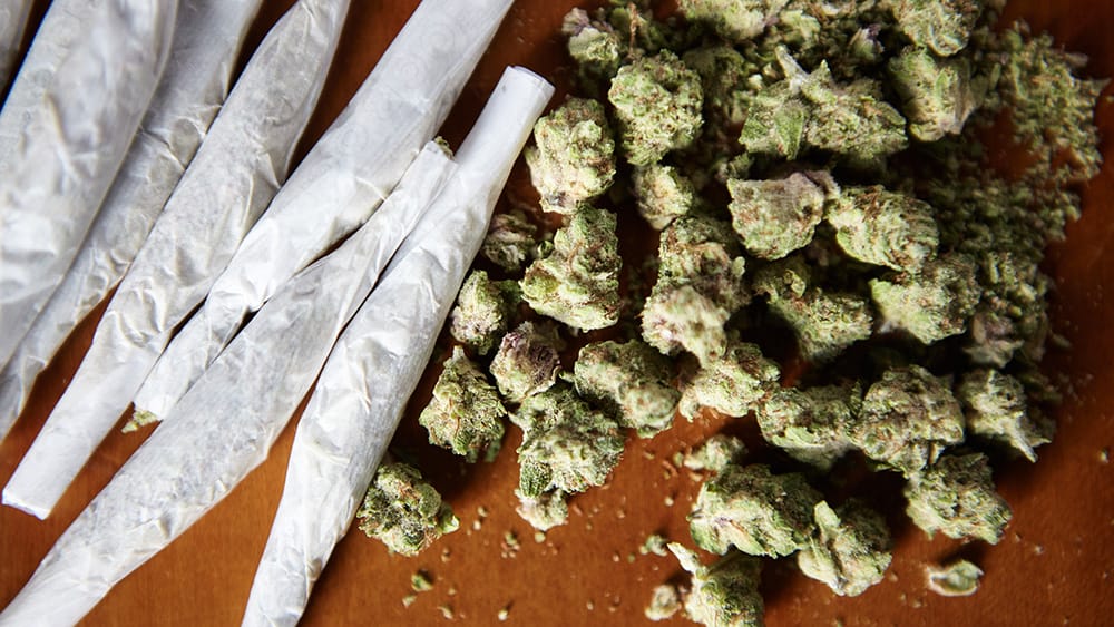 cannabis addiction