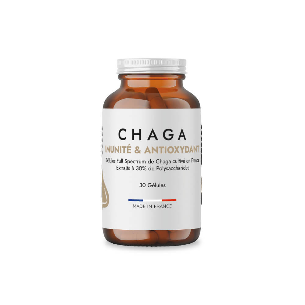 chaga produits Nobilis Mushroom