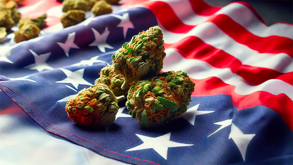 drapeau etats unis cannabis