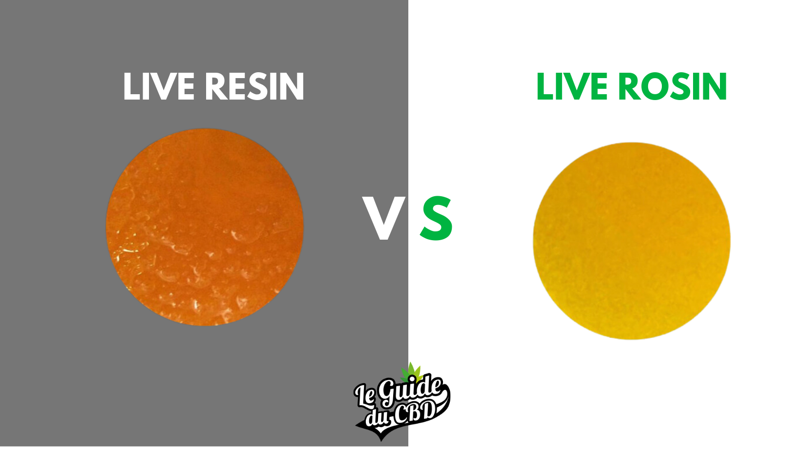 Live Resin vs Live Rosin Le Guide du CBD