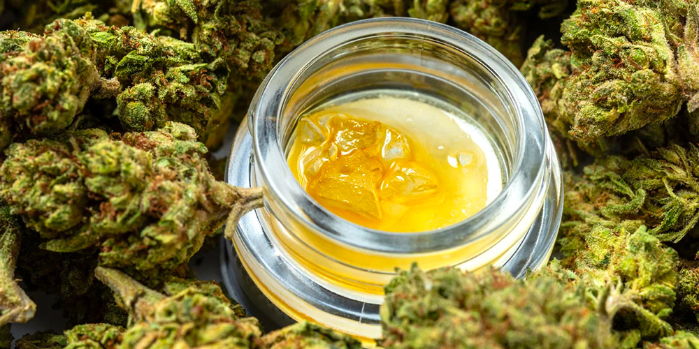 solvent vs solventless cannabis