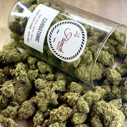 Boutique-French-Hemp-Factory-Istres-2.webp