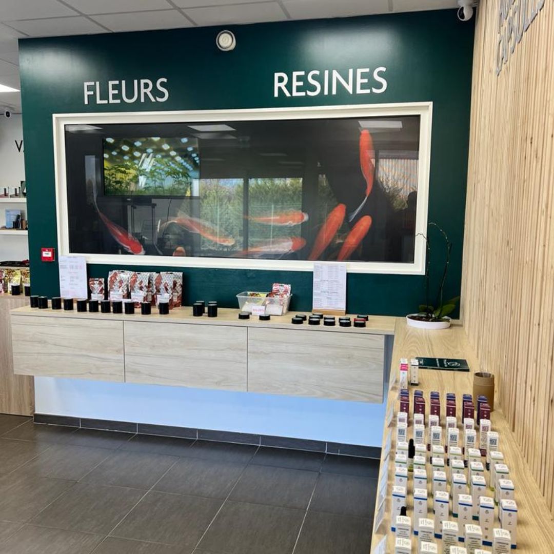 Stand Fleurs Poisson Vert CBD